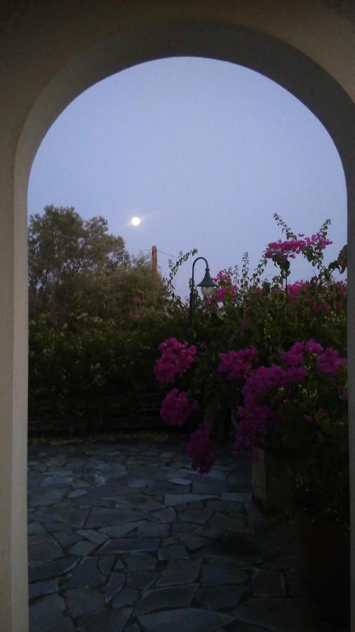 Votsalo Summer House By The Beach Porto Heli Extérieur photo