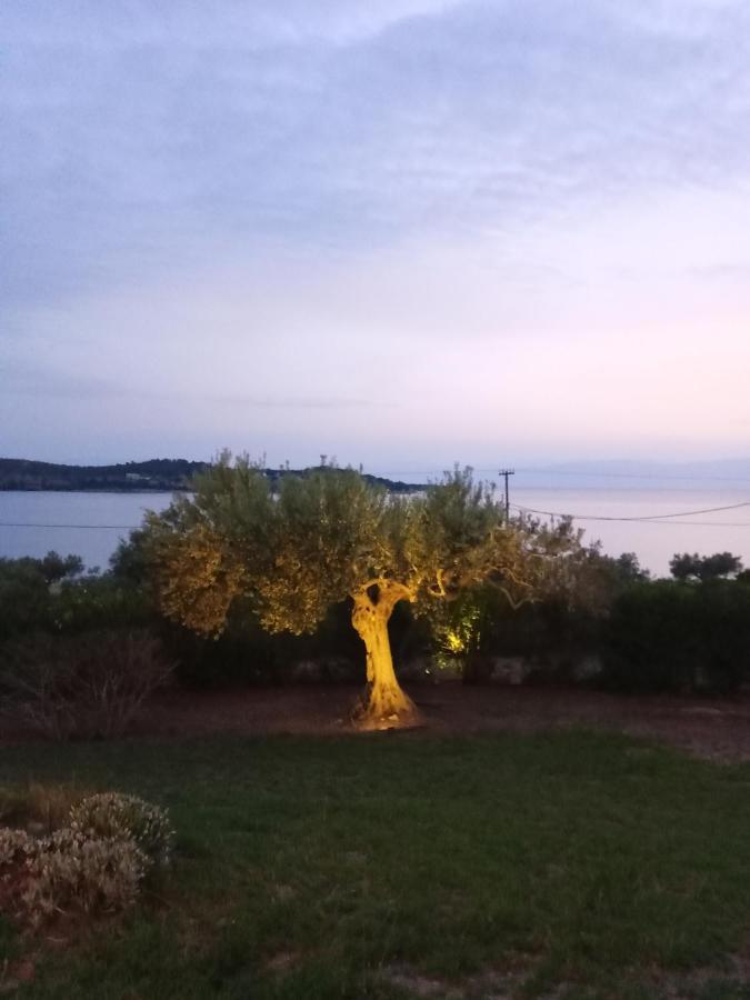 Votsalo Summer House By The Beach Porto Heli Extérieur photo